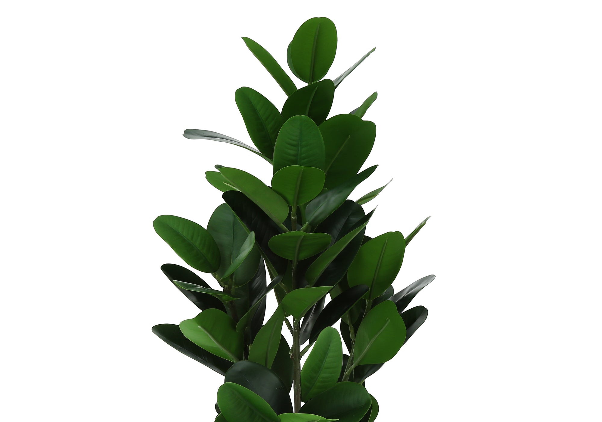 ARTIFICIAL PLANT - 28"H / INDOOR GARCINIA IN A 5" POT