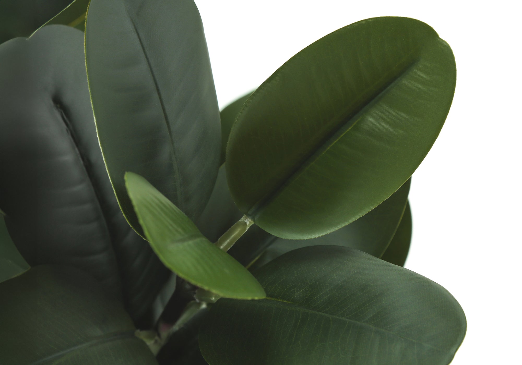 ARTIFICIAL PLANT - 31"H / INDOOR GARCINIA IN A 7" POT