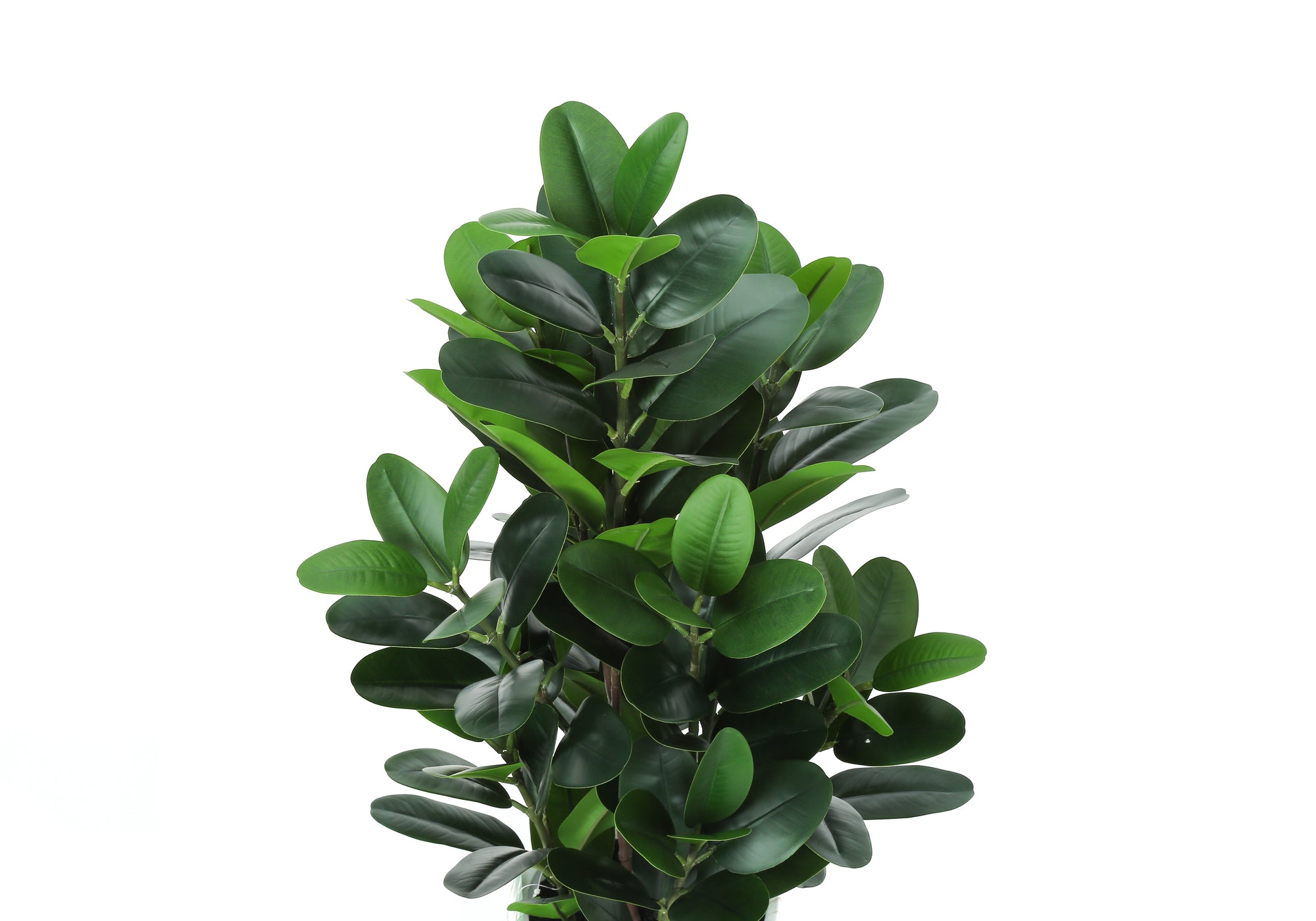 ARTIFICIAL PLANT - 31"H / INDOOR GARCINIA IN A 7" POT