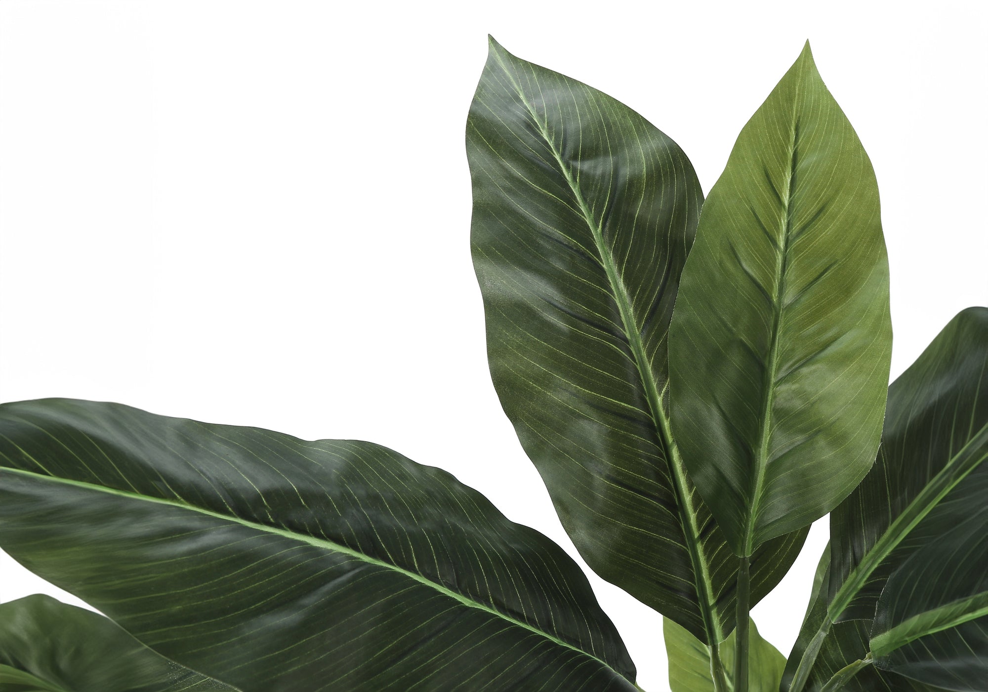 ARTIFICIAL PLANT - 42"H / INDOOR EVERGREEN IN A 5" POT