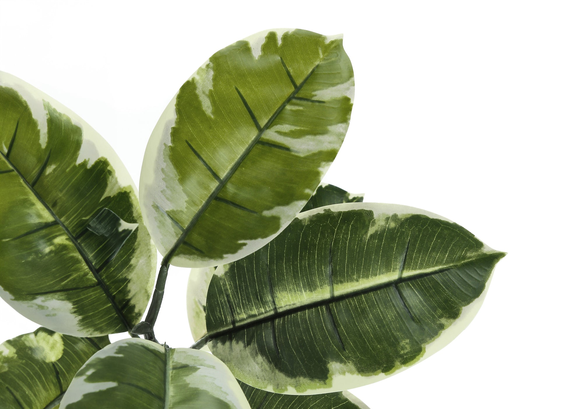 PLANTE ARTIFICIELLE - 52"H / ARBRE À CAOUTCHOUC D'INTÉRIEUR DANS UN POT DE 5"