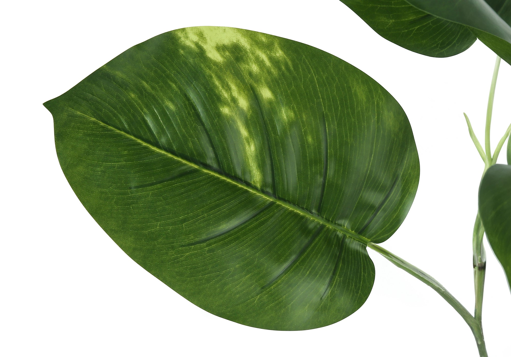 ARTIFICIAL PLANT - 54"H / INDOOR DIEFFENBACHIA / 6" POT