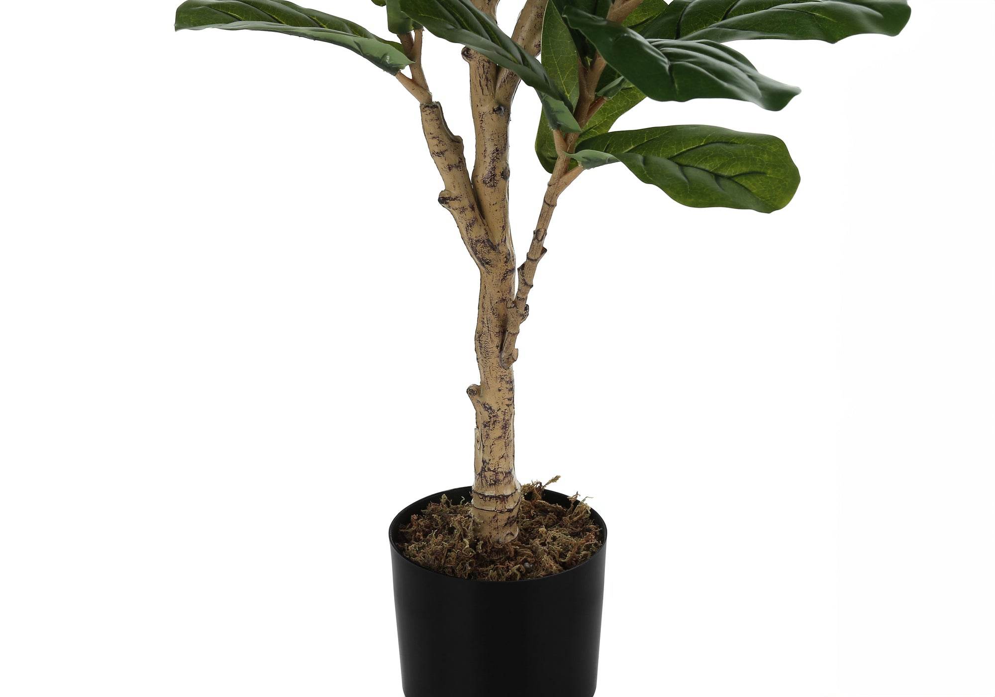 PLANTE ARTIFICIELLE - 47"H / ARBRE À VIOLONCELLE D'INTÉRIEUR DANS UN POT DE 5"