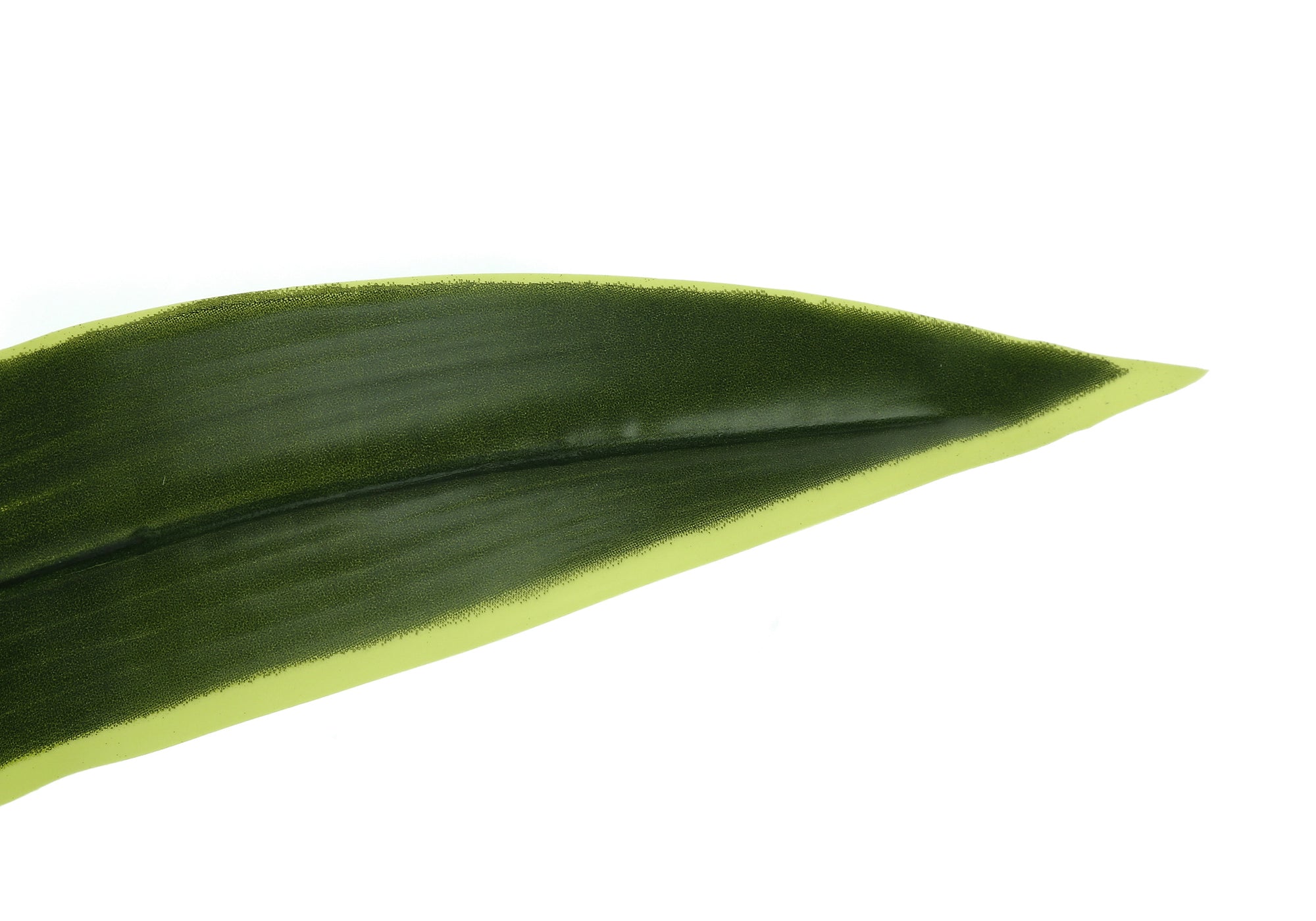 PLANTE ARTIFICIELLE - 120 cm H / DRACAENA D'INTÉRIEUR EN POT DE 12,7 cm