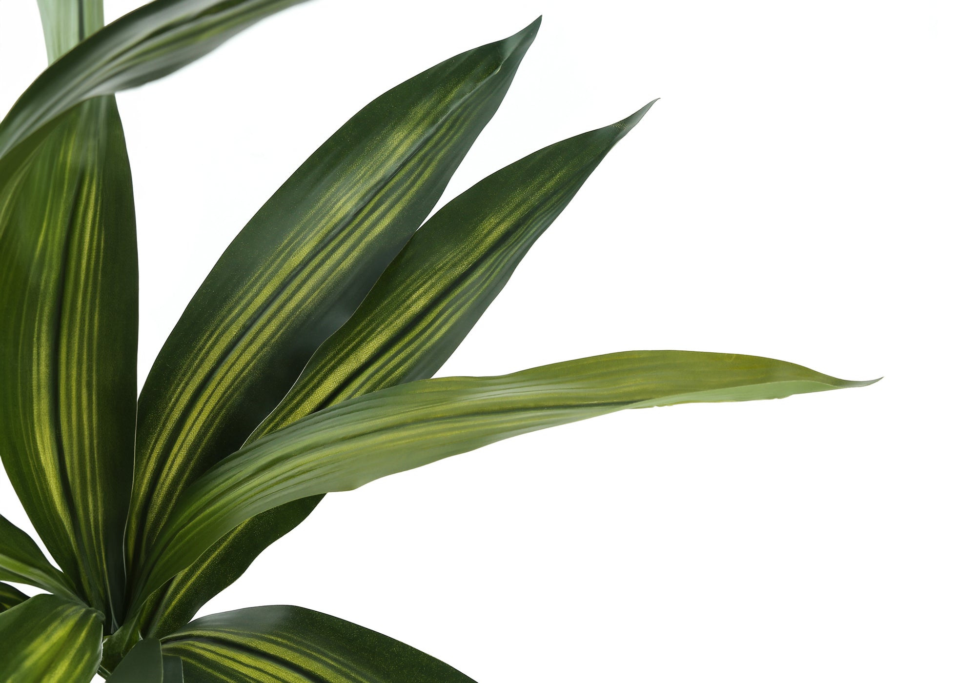 ARTIFICIAL PLANT - 51"H / INDOOR DRACAENA IN A 5" POT