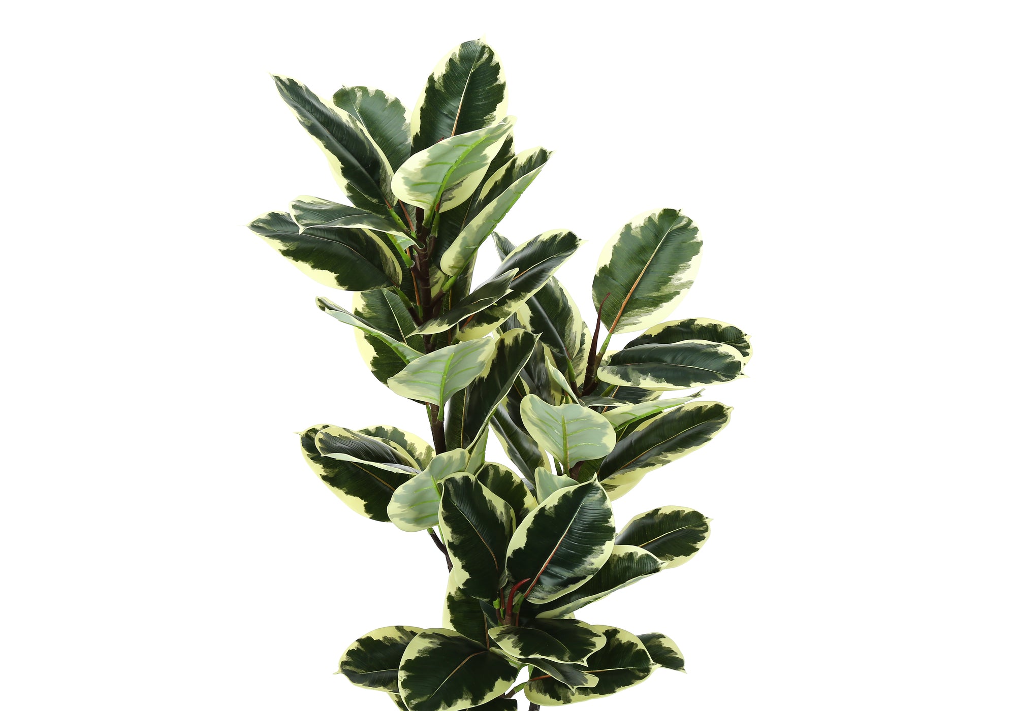 ARTIFICIAL PLANT - 47"H / INDOOR OAK TREE IN A 5" POT