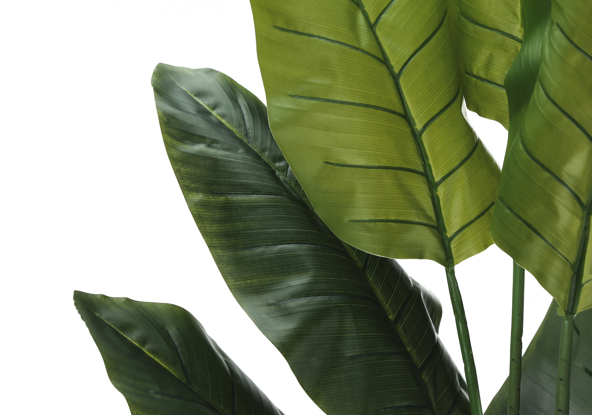 ARTIFICIAL PLANT - 59"H / INDOOR STRELITZIA IN A 5" POT