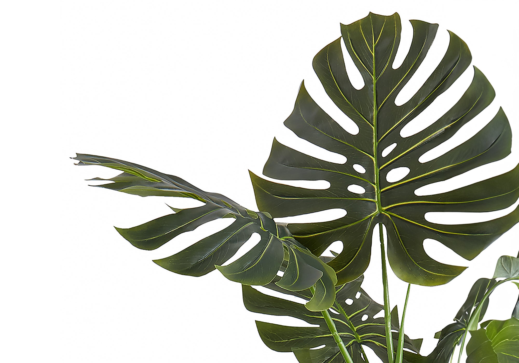 ARTIFICIAL PLANT - 55"H / INDOOR MONSTERA IN A 6" POT