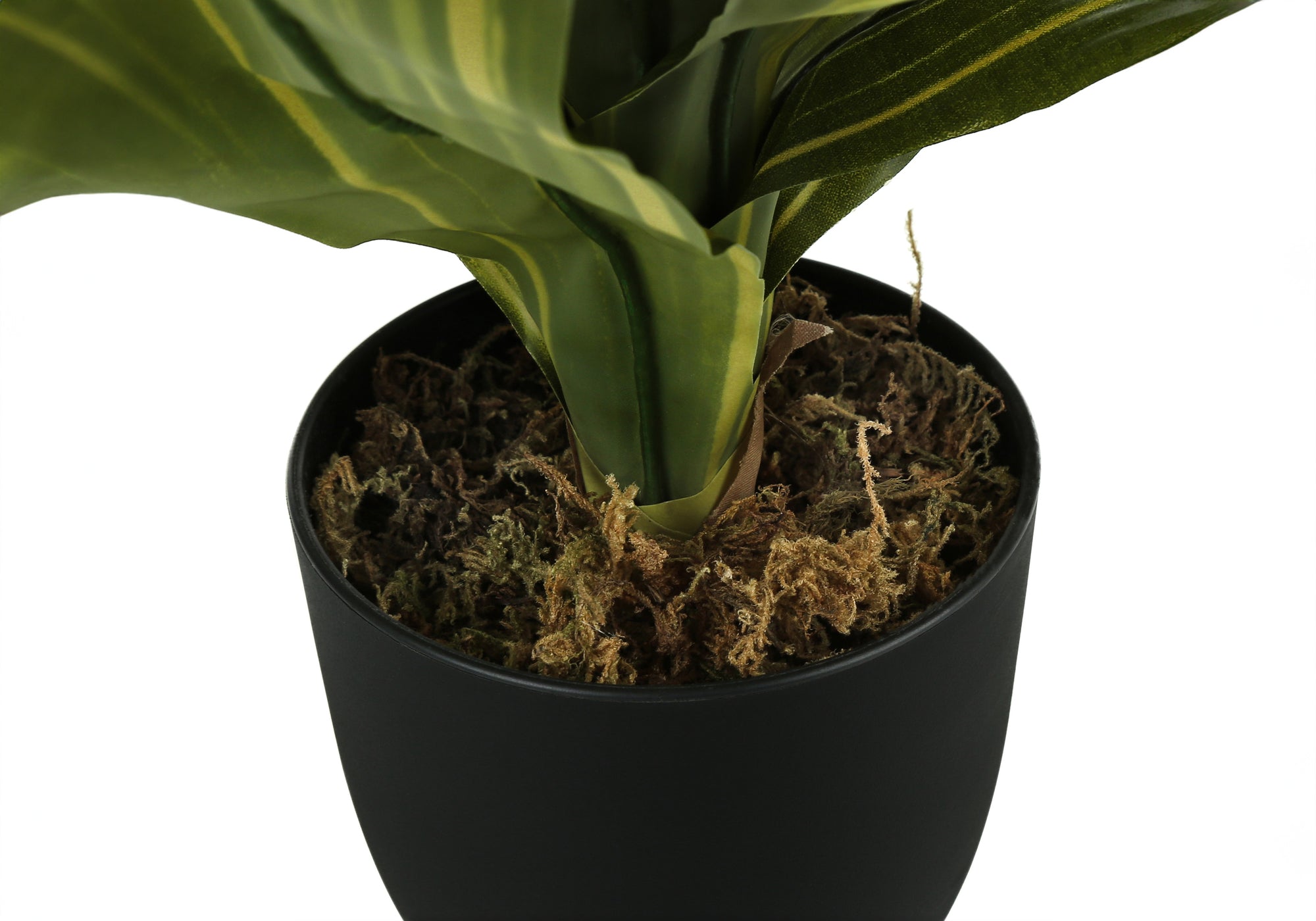 PLANTE ARTIFICIELLE - 43 cm de hauteur / DRACAENA D'INTÉRIEUR EN POT DE 10 cm