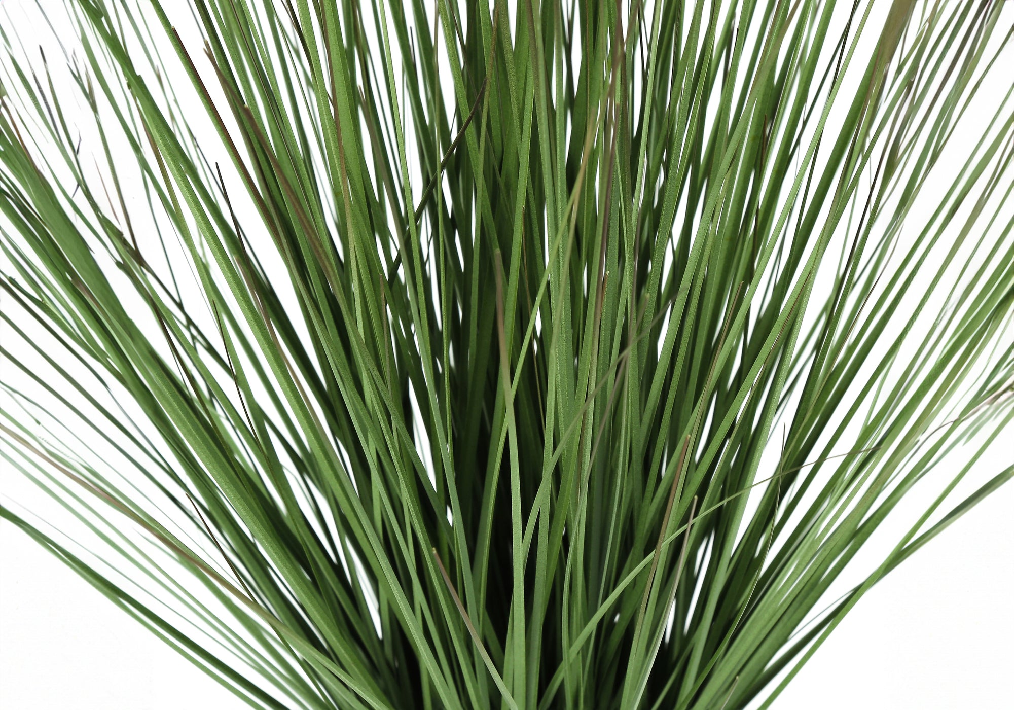 ARTIFICIAL PLANT - 21"H / INDOOR GRASS IN CEMENT 4" POT