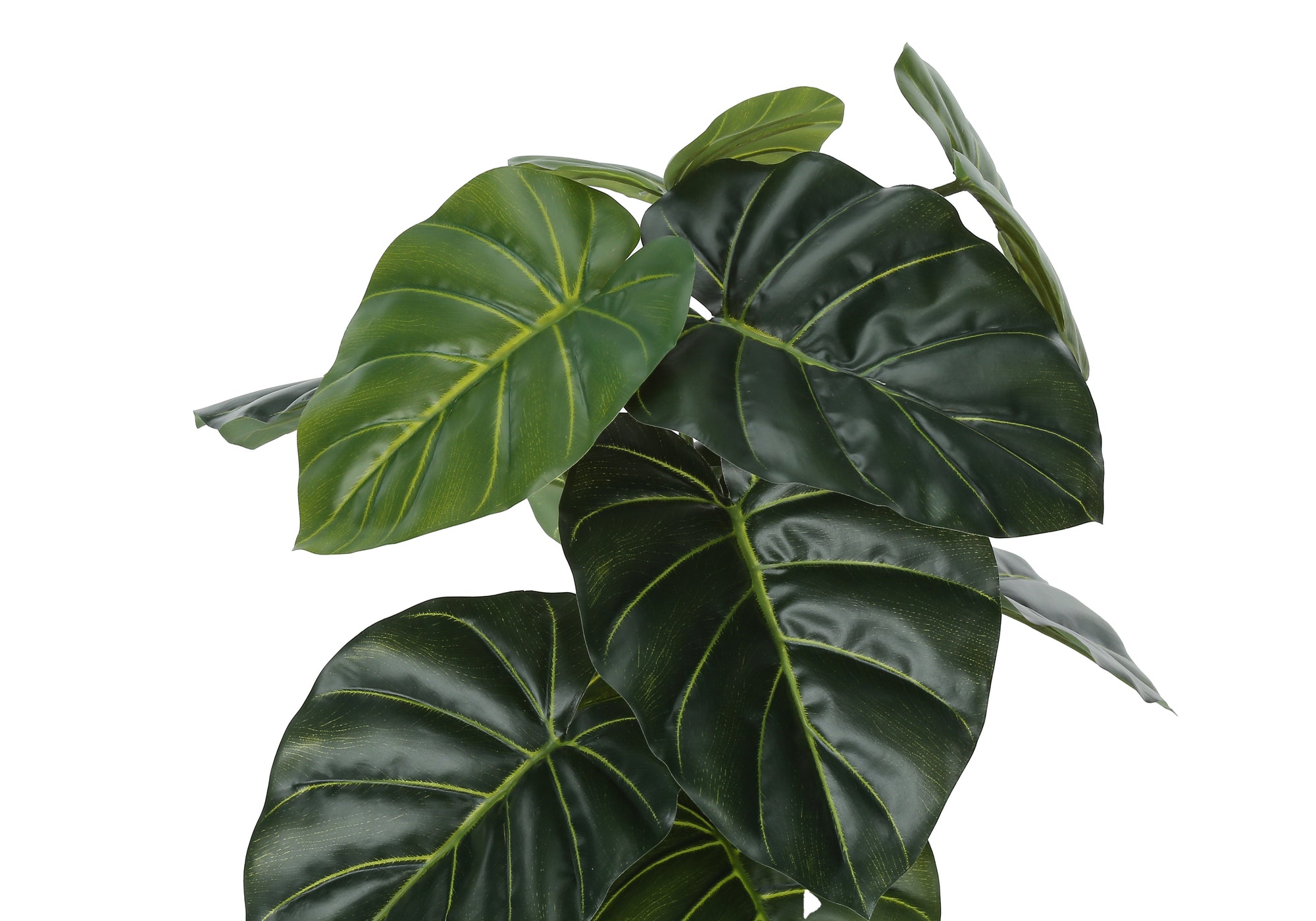 PLANTE ARTIFICIELLE - 24"H / ALOCASIA D'INTÉRIEUR EN POT DE 5"