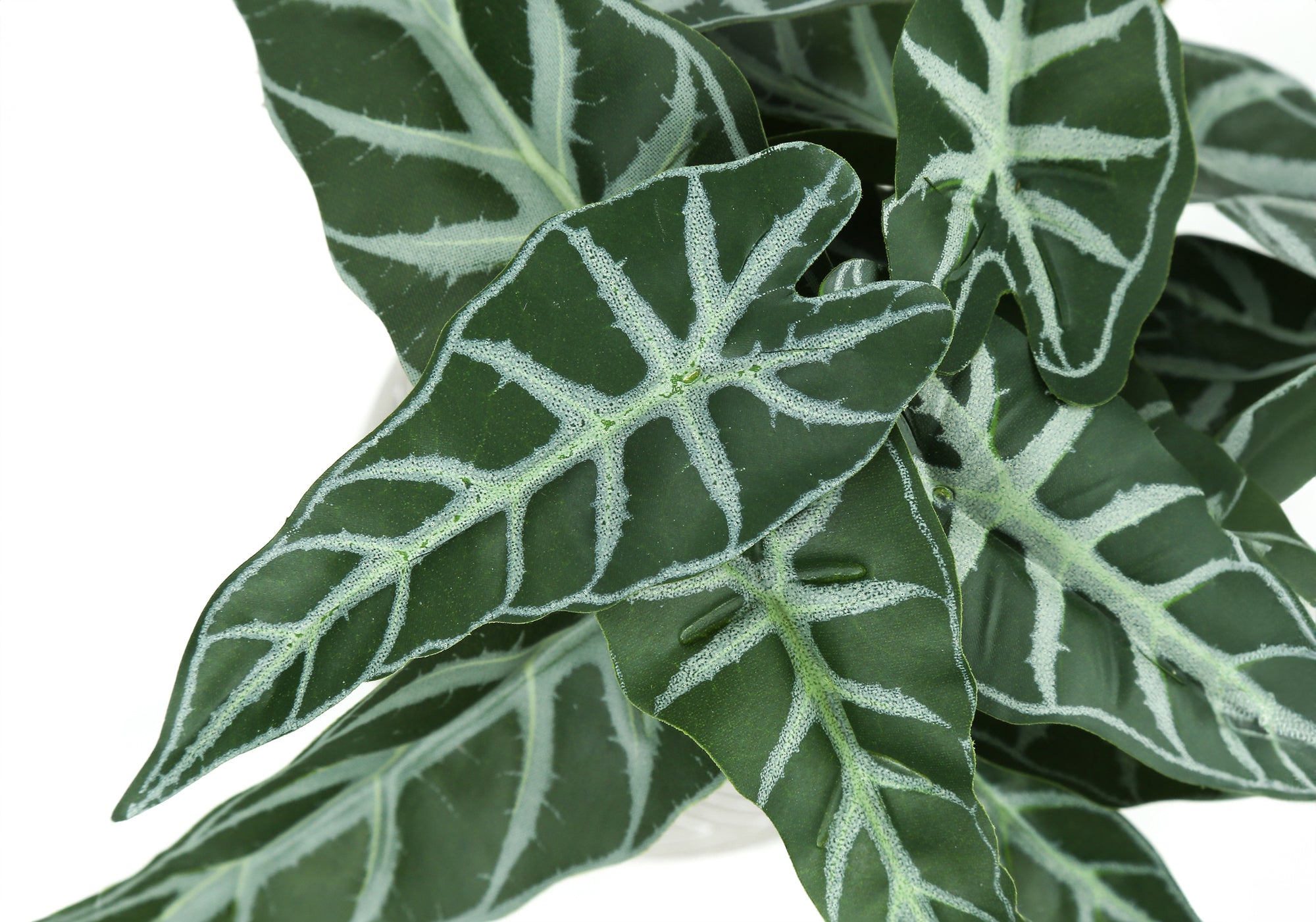 ARTIFICIAL PLANT - 2PCS / 8"H ALOCASIA / 5" CEMENT POT