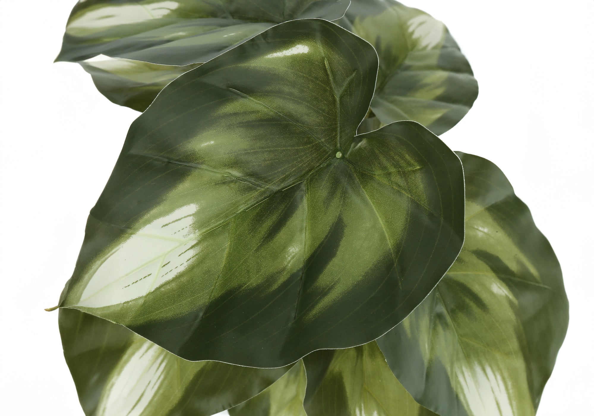 ARTIFICIAL PLANT - 2PCS / 13"H MONSTERA/CALATHEA/ 4" POT