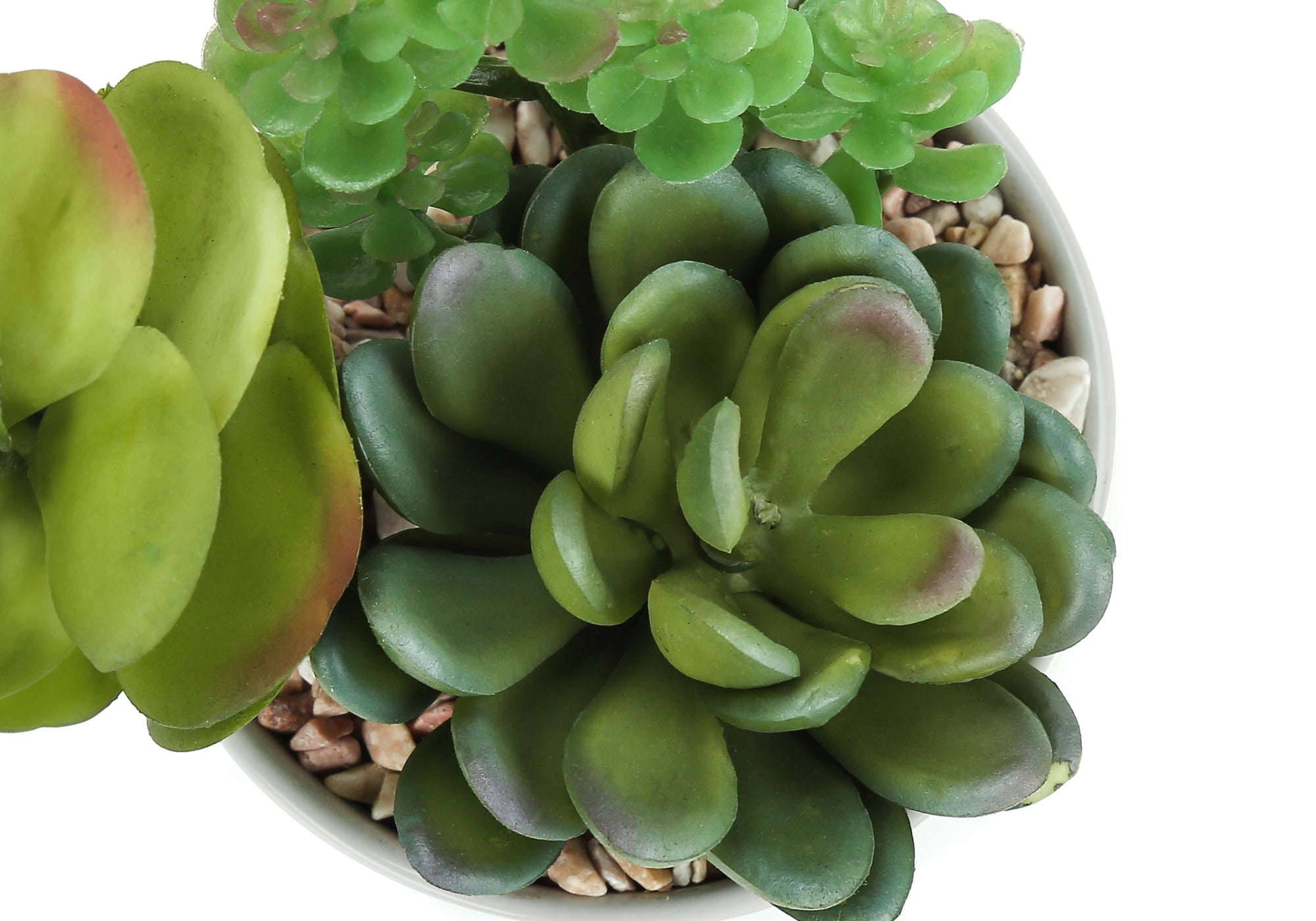 PLANTES ARTIFICIELLES - 2 PIÈCES / 7"H SUCCULENTES DANS UN POT EN CÉRAMIQUE DE 3"