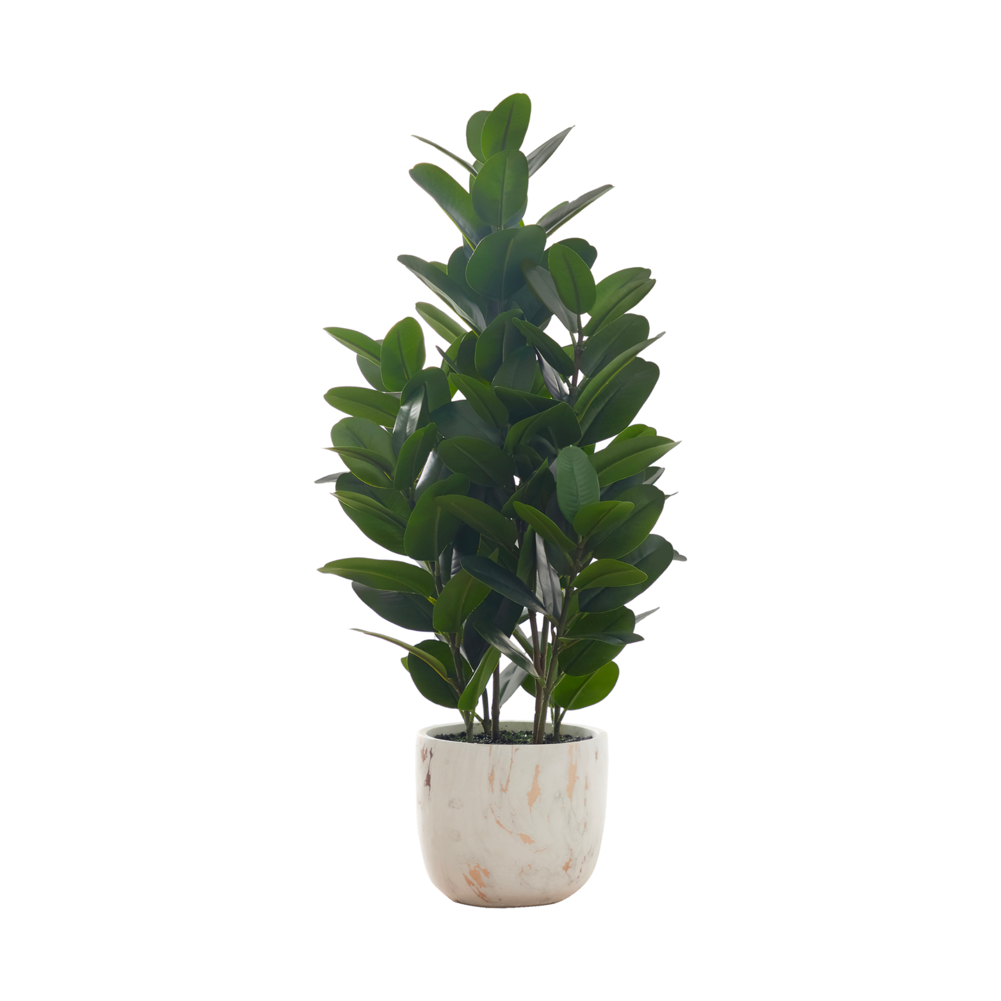 ARTIFICIAL PLANT - 31"H / INDOOR GARCINIA IN A 7" POT