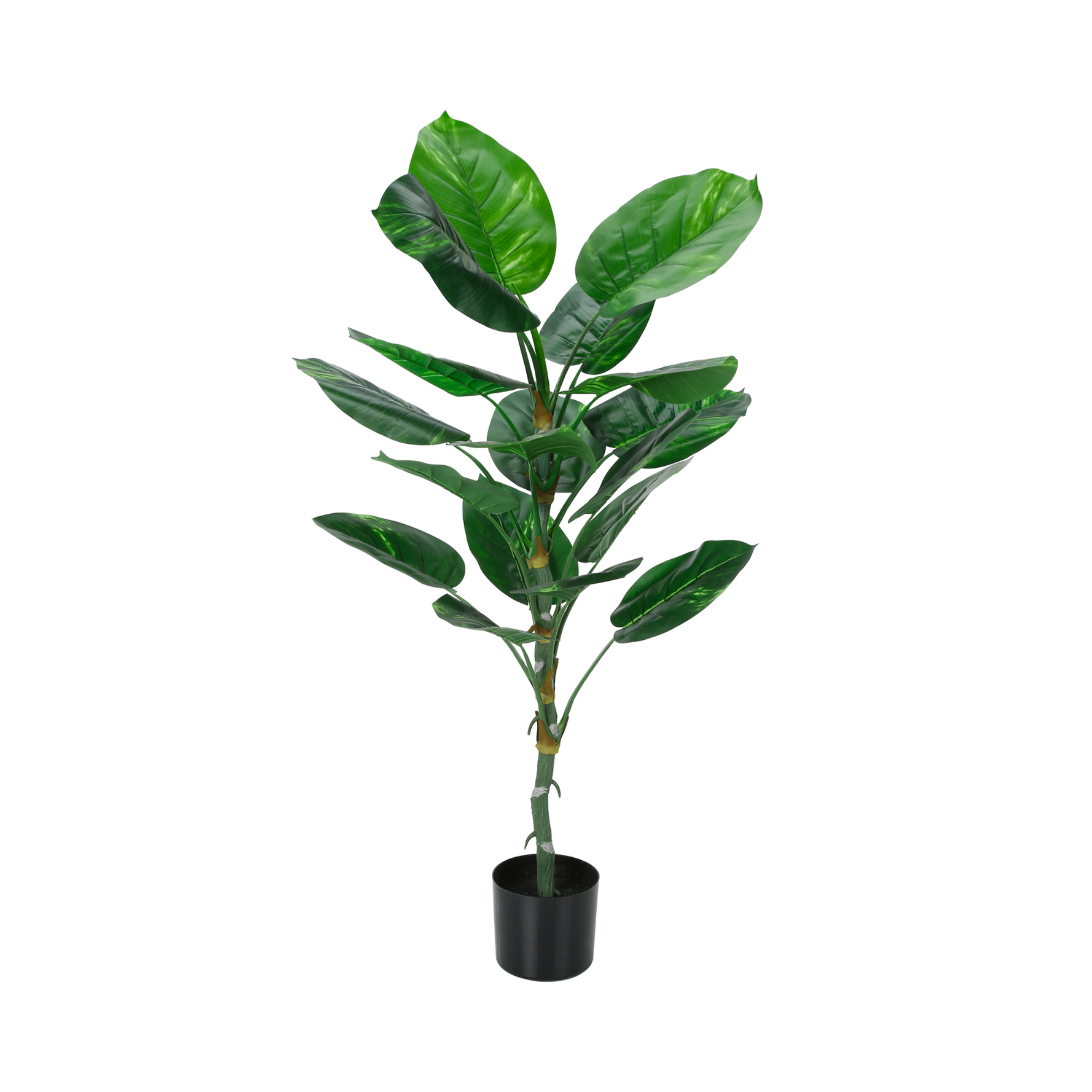 ARTIFICIAL PLANT - 54"H / INDOOR DIEFFENBACHIA / 6" POT