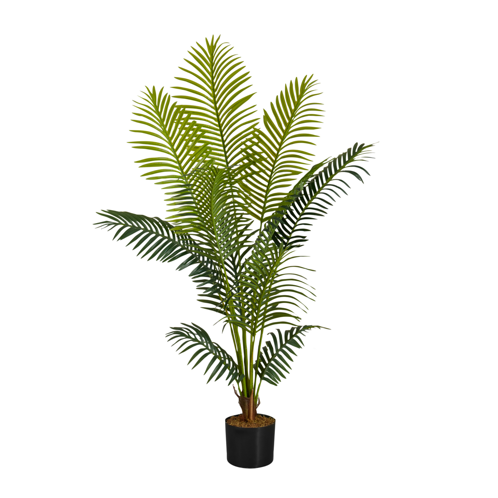 ARTIFICIAL PLANT - 57"H / INDOOR PALM TREE IN A 5" POT