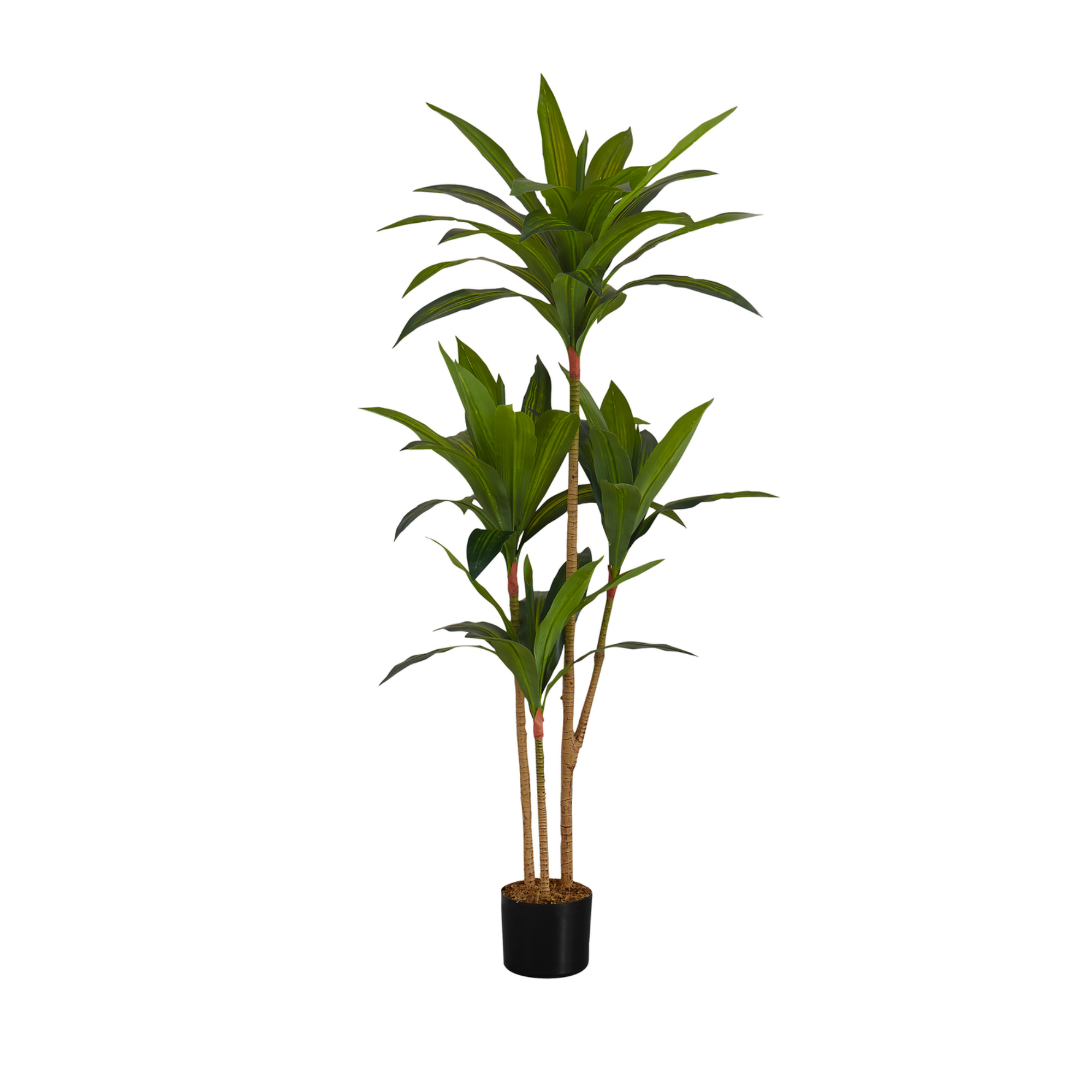 ARTIFICIAL PLANT - 51"H / INDOOR DRACAENA IN A 5" POT