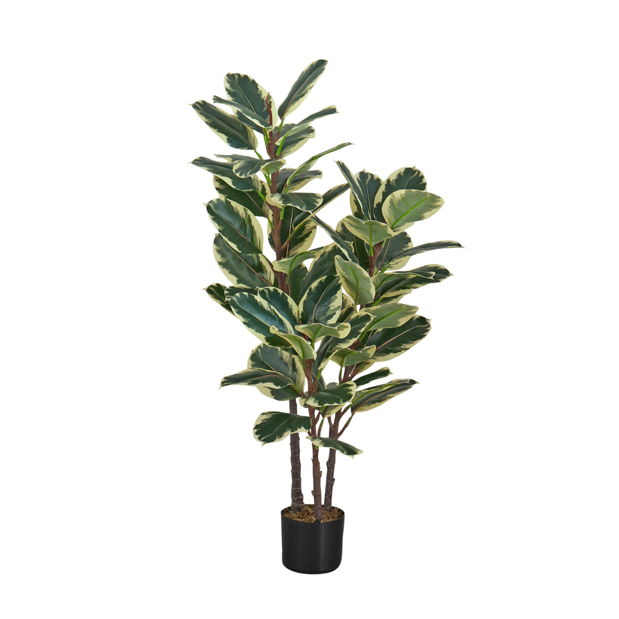 ARTIFICIAL PLANT - 47"H / INDOOR OAK TREE IN A 5" POT