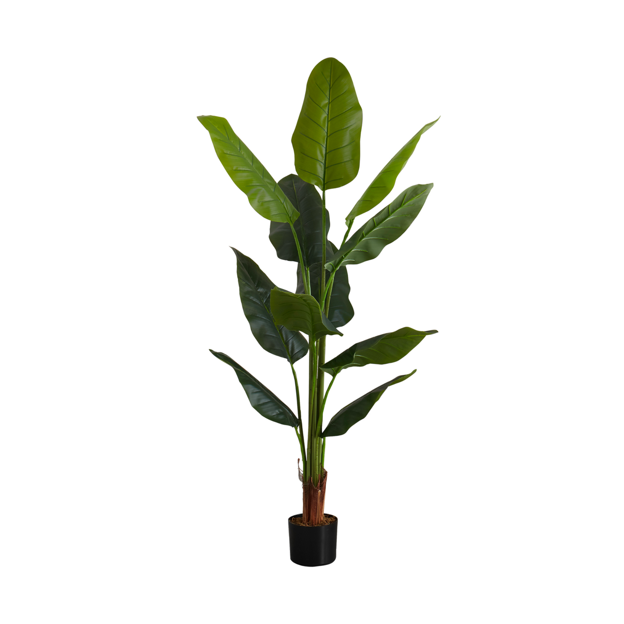 ARTIFICIAL PLANT - 59"H / INDOOR STRELITZIA IN A 5" POT