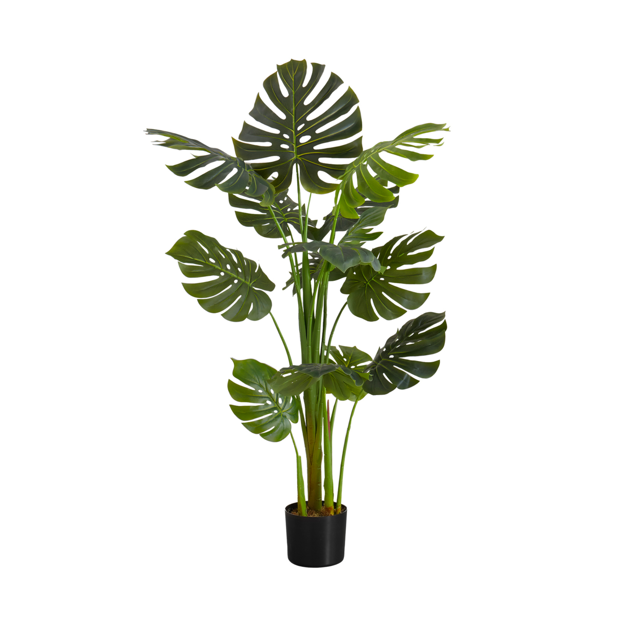 ARTIFICIAL PLANT - 55"H / INDOOR MONSTERA IN A 6" POT