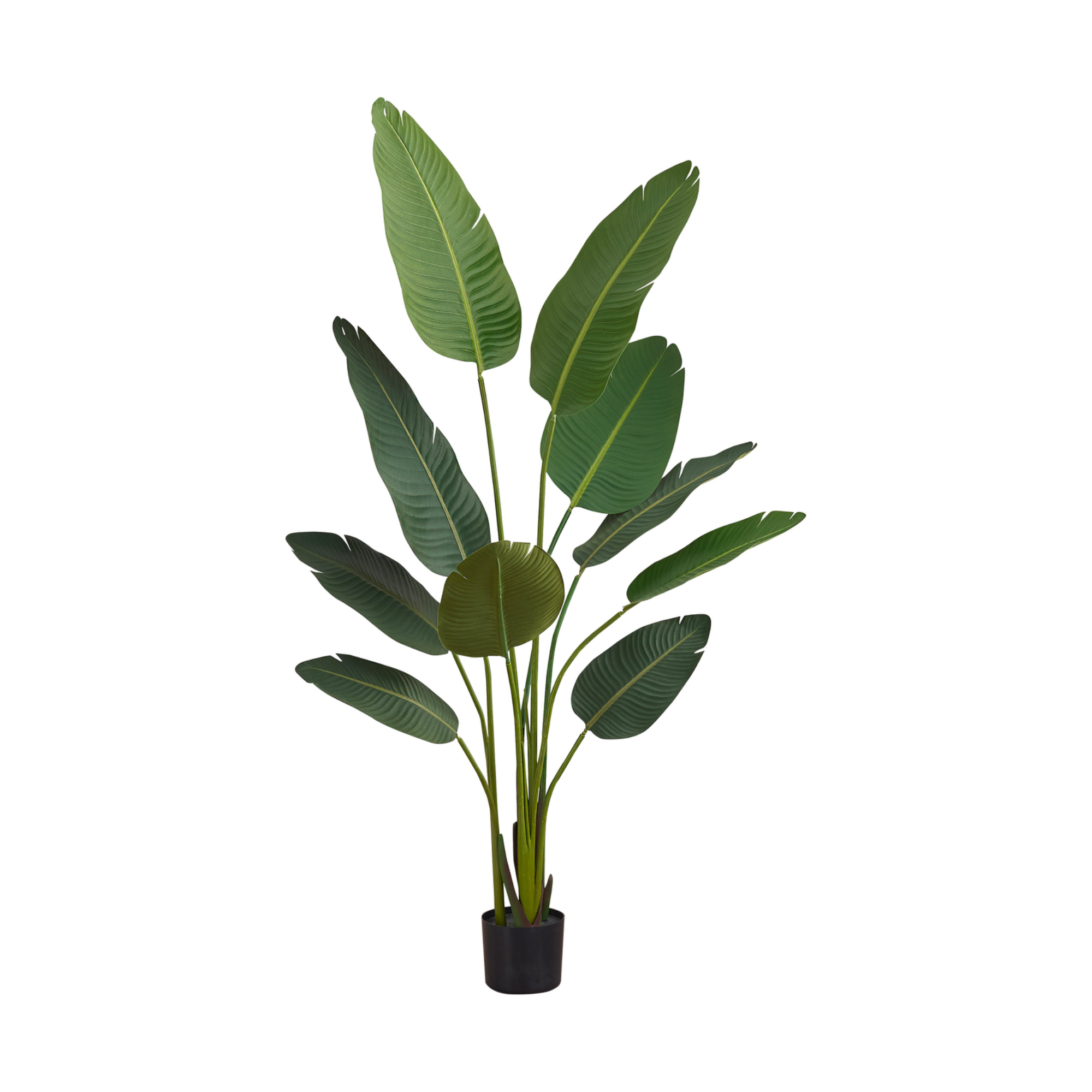PLANTE ARTIFICIELLE - 60"H / OISEAU DE PARADIS D'INTÉRIEUR EN POT DE 5"
