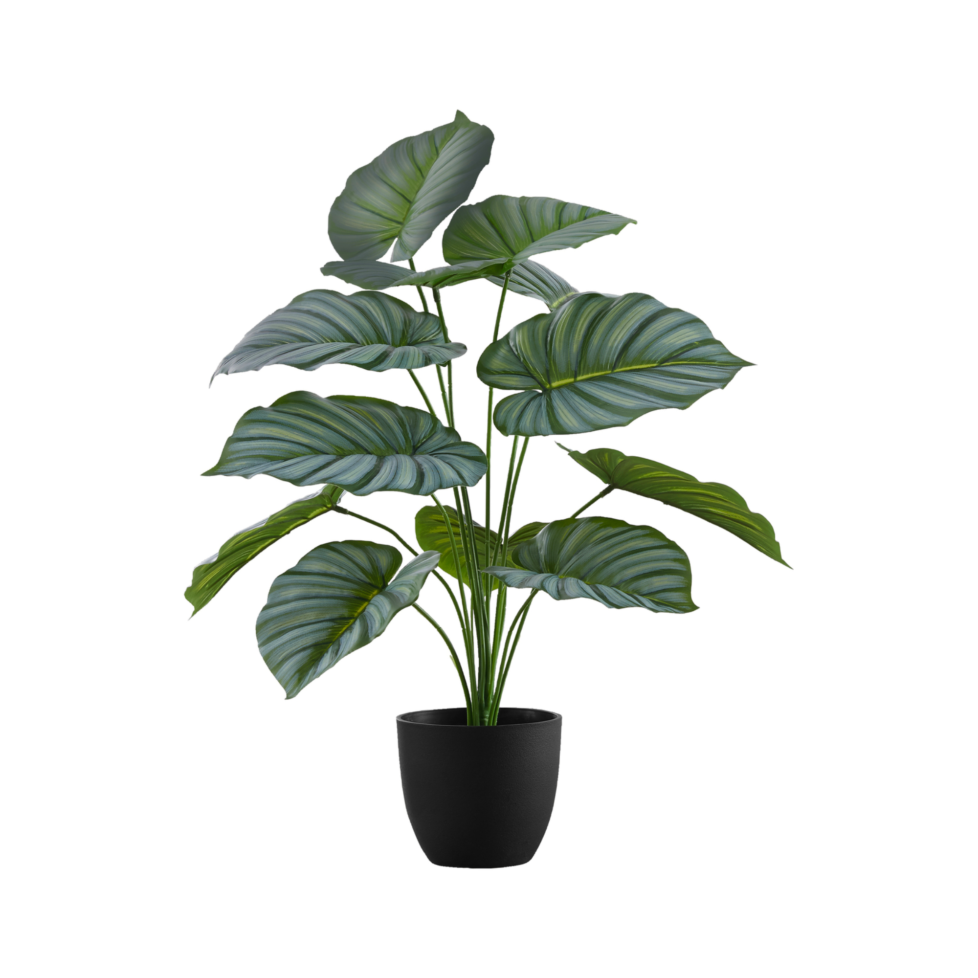 PLANTE ARTIFICIELLE - 61 cm H / CALATHEA D'INTÉRIEUR EN POT DE 12,7 cm