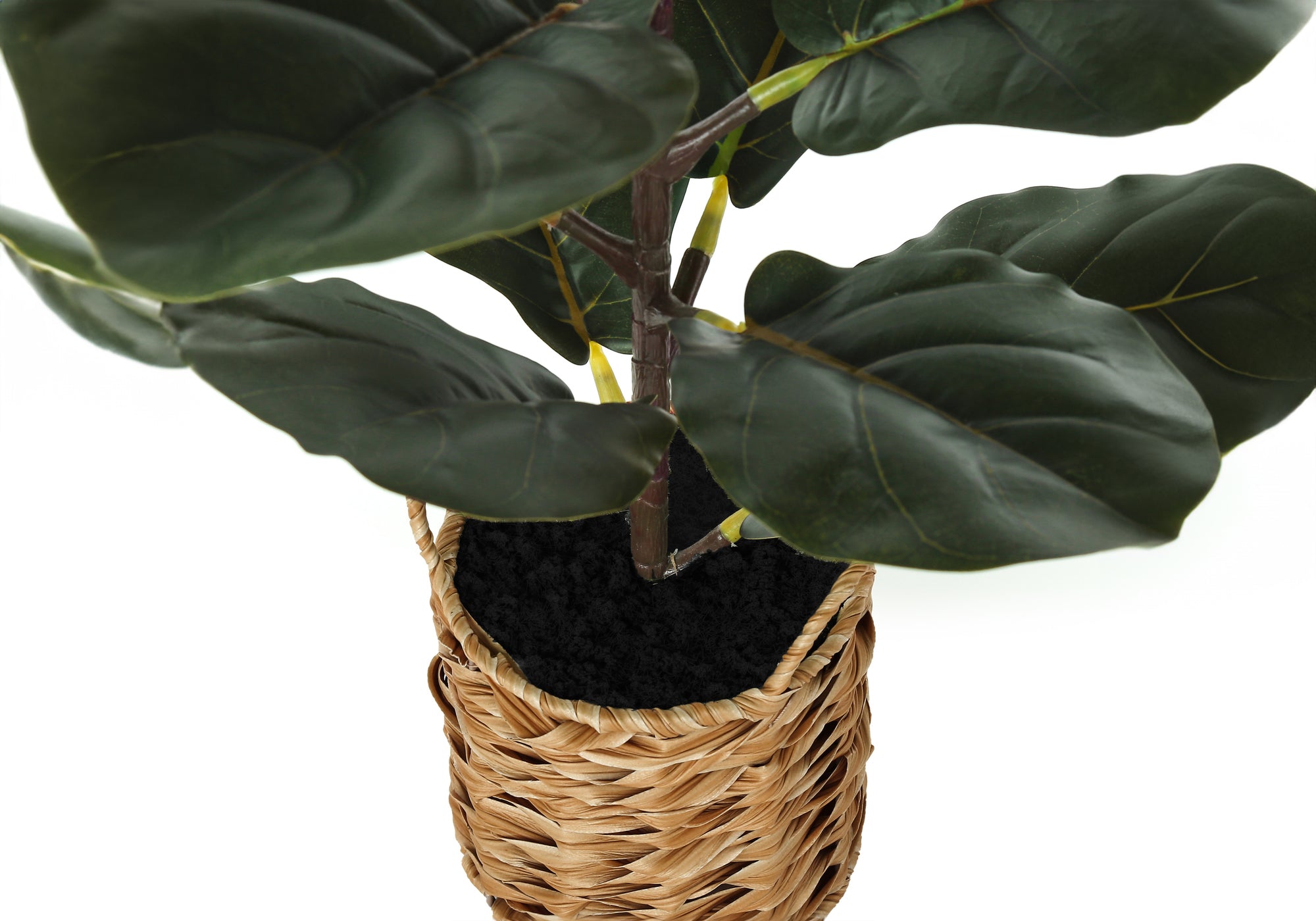 ARTIFICIAL PLANT - 28"H / INDOOR FIDDLE / 8" WOVEN BASKET
