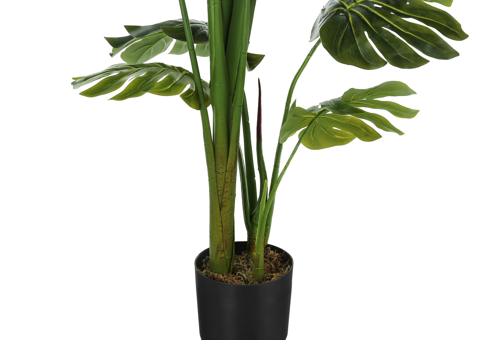 ARTIFICIAL PLANT - 55"H / INDOOR MONSTERA IN A 6" POT