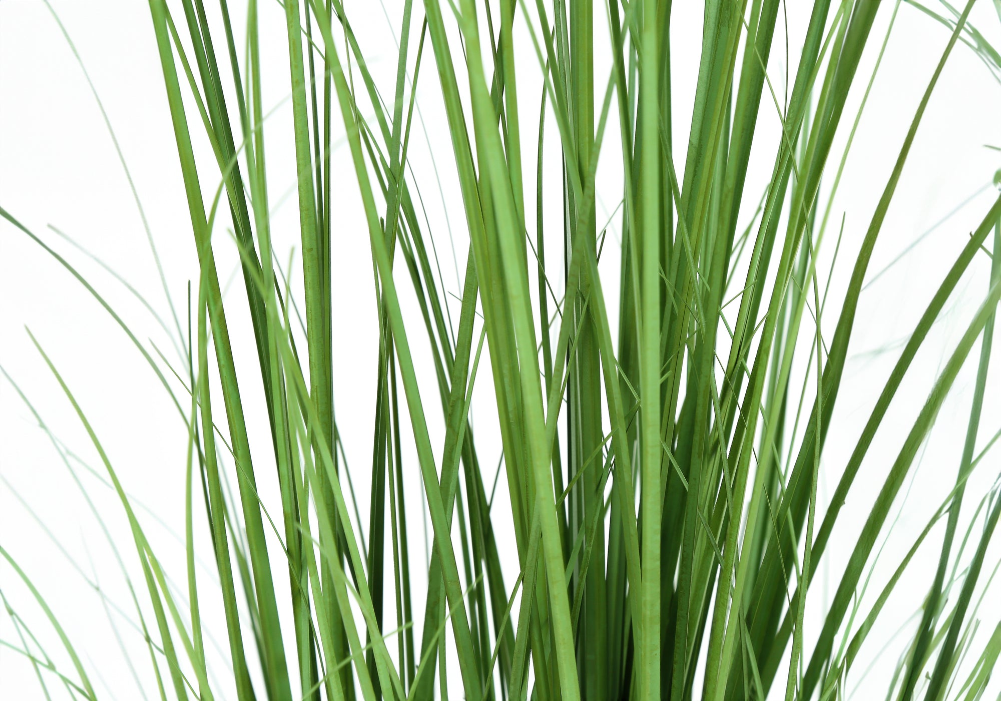 ARTIFICIAL PLANT - 47"H / INDOOR GRASS IN A 5" POT