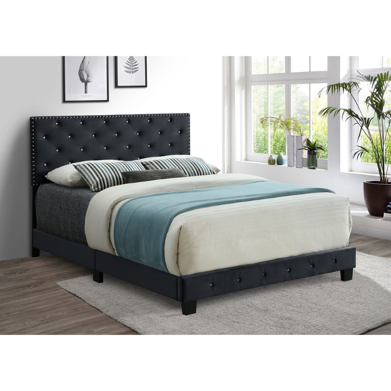 IF-5651 Black  Double Bed