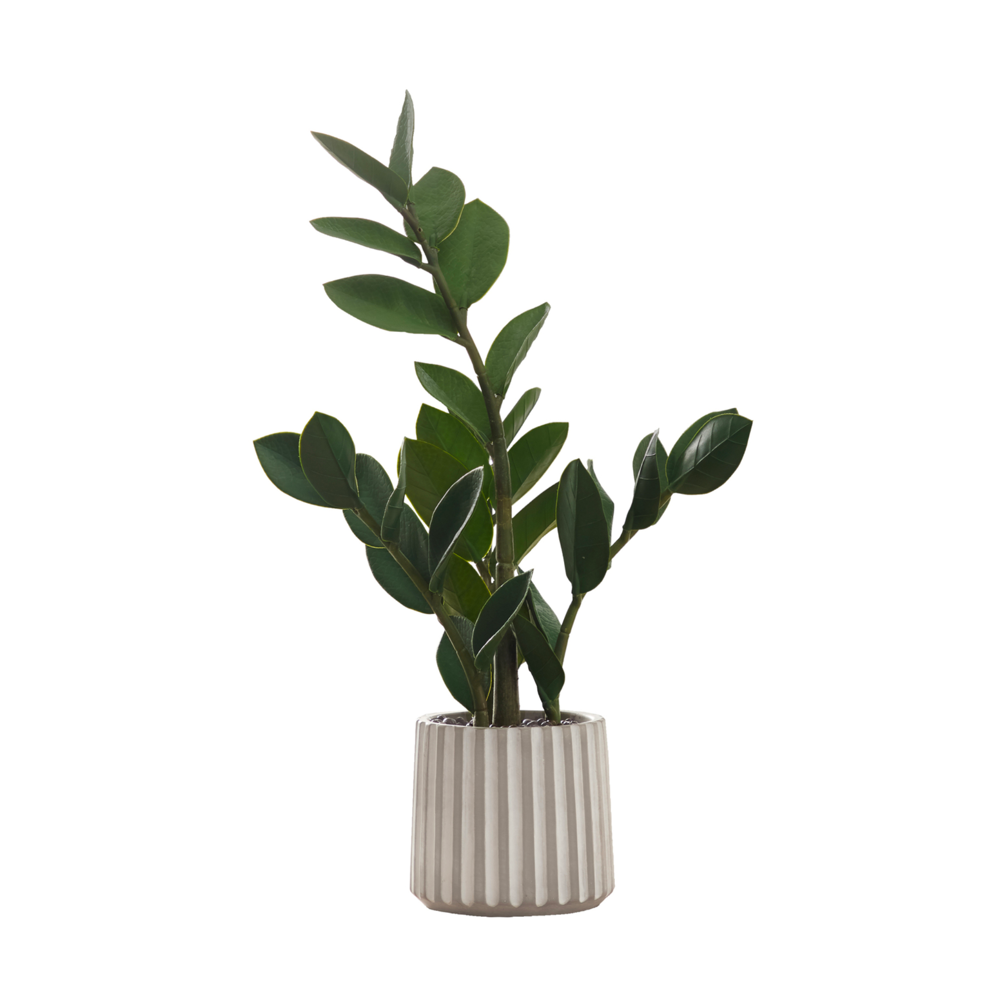 ARTIFICIAL PLANT - 20"H / INDOOR ZZ IN A 5" CEMENT POT