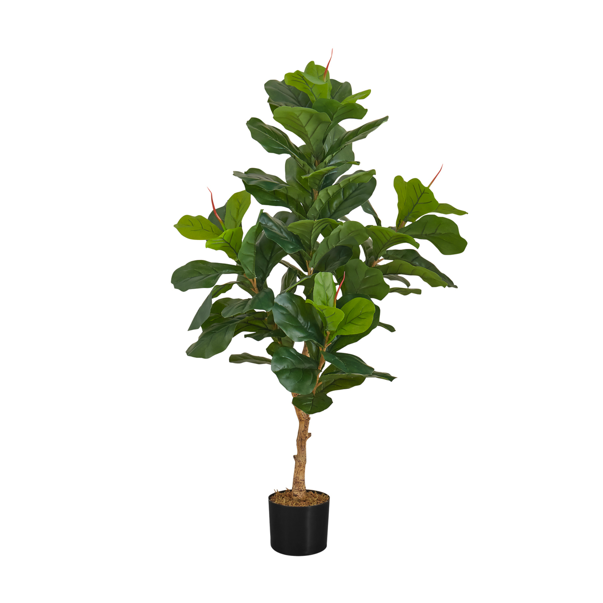 ARTIFICIAL PLANT - 47"H / INDOOR FIDDLE TREE IN A 5" POT