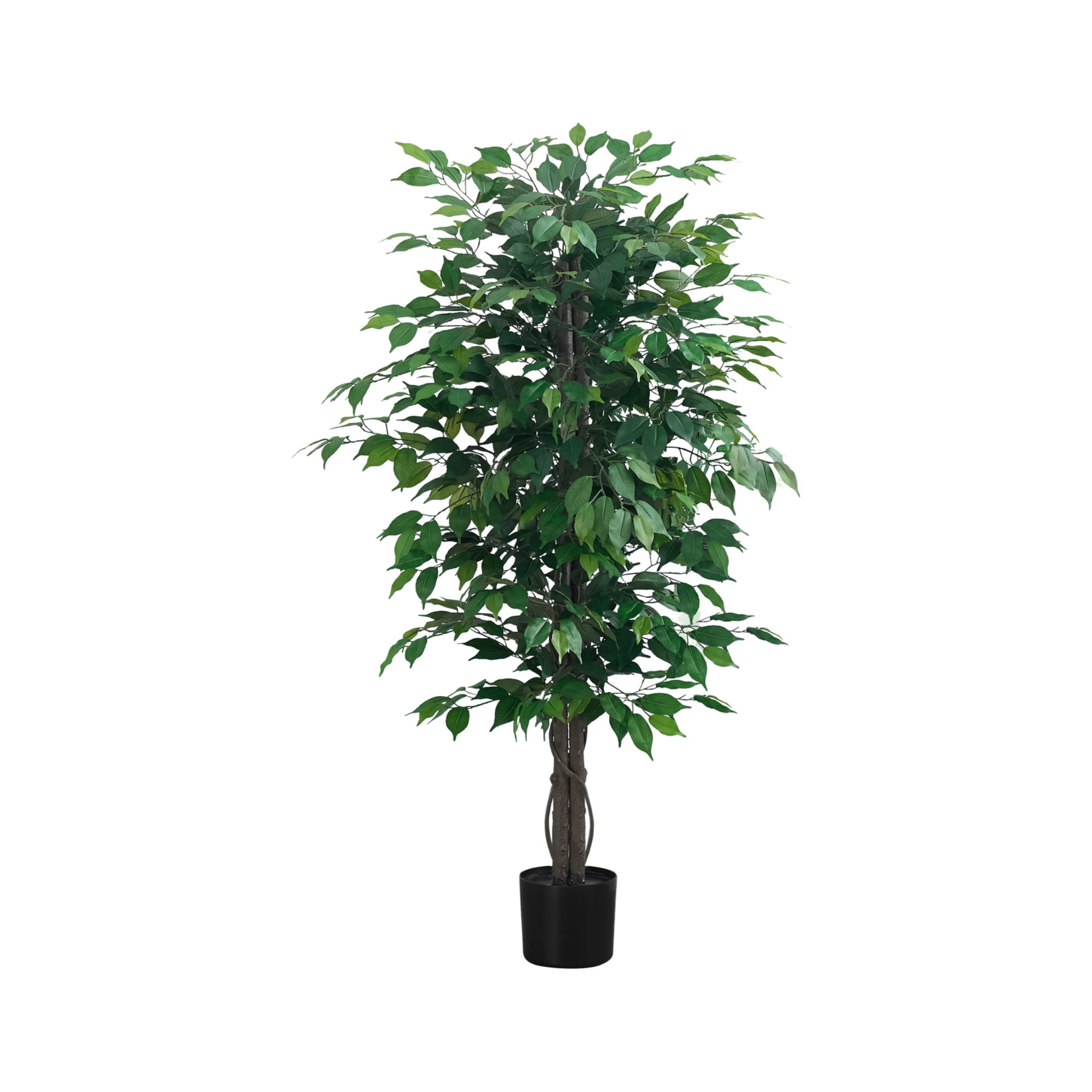 ARTIFICIAL PLANT - 58"H / INDOOR FICUS TREE IN A 6" POT