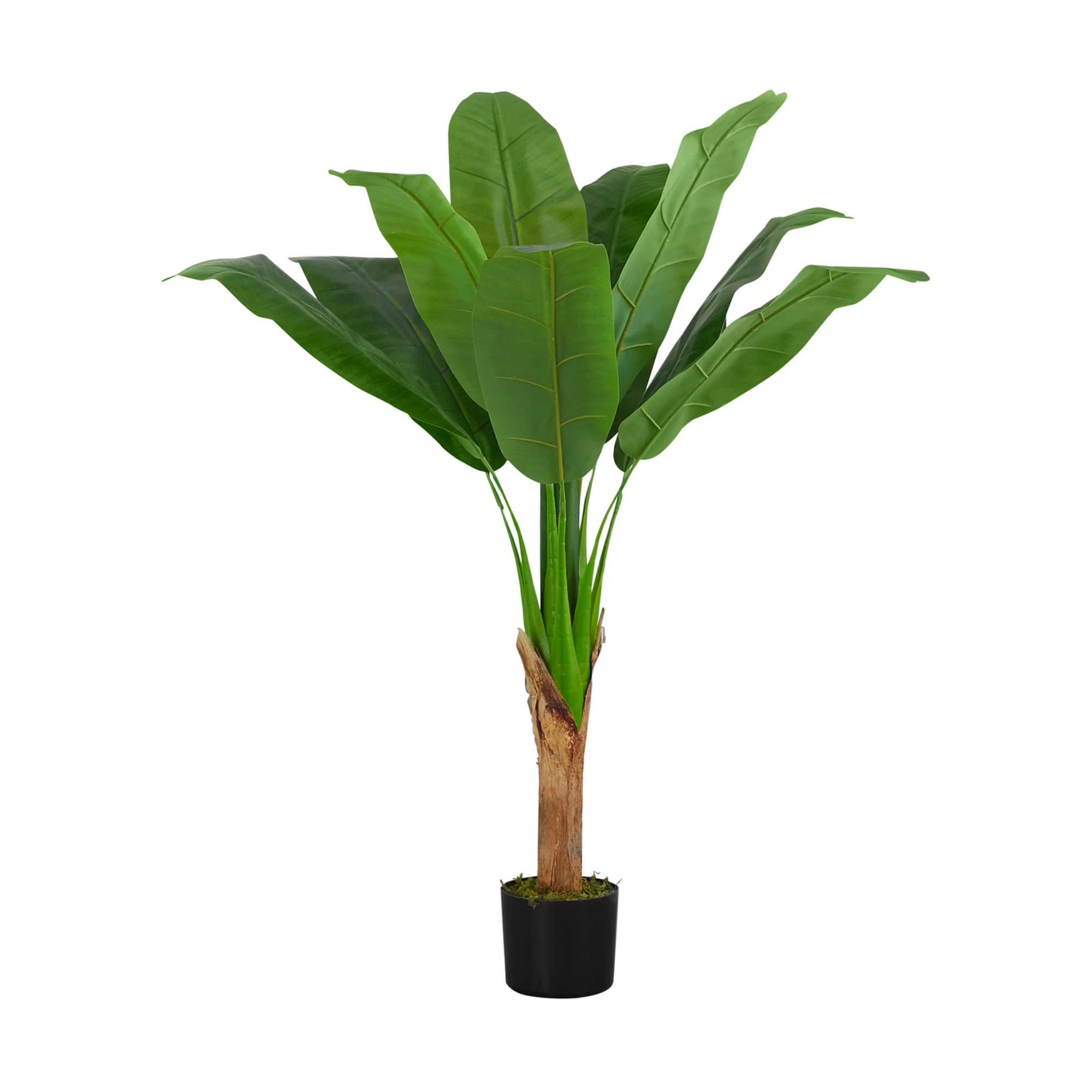 ARTIFICIAL PLANT - 43"H / INDOOR BANANA TREE IN A 5" POT