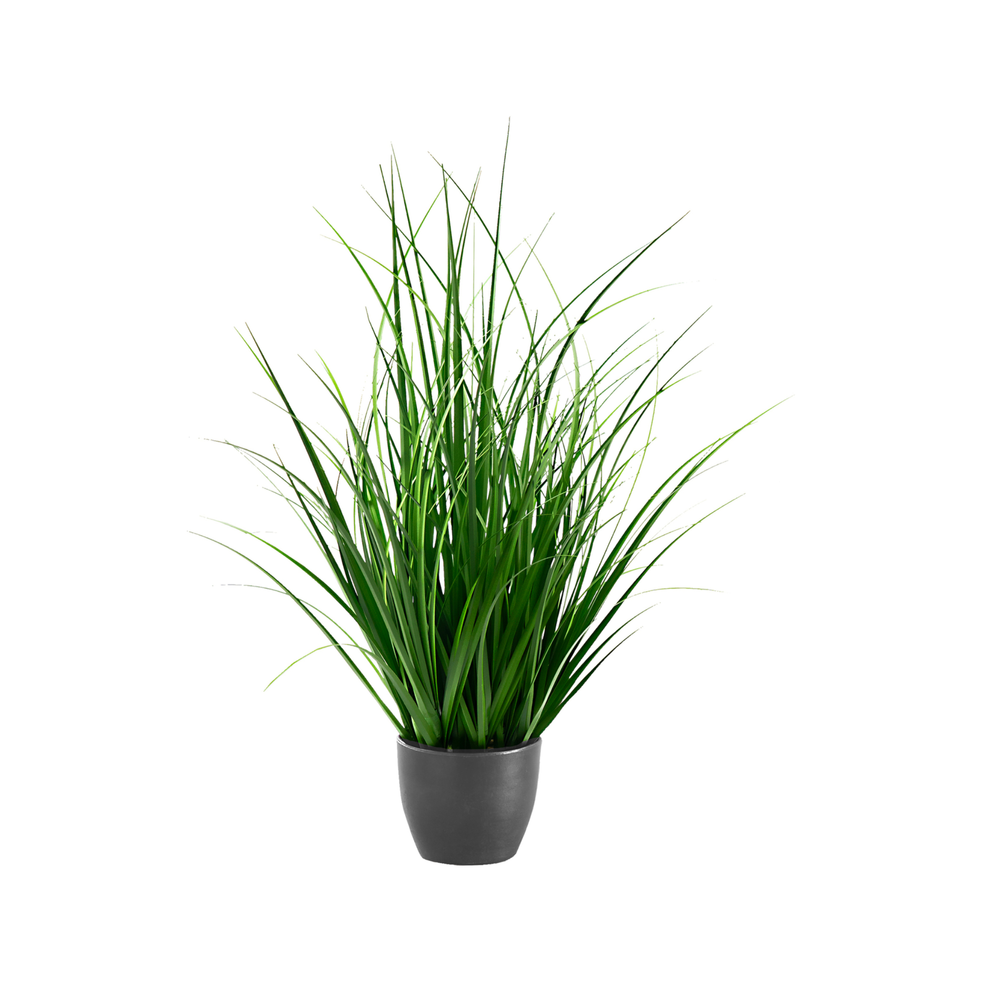 ARTIFICIAL PLANT - 23"H / INDOOR GRASS IN A 4" POT