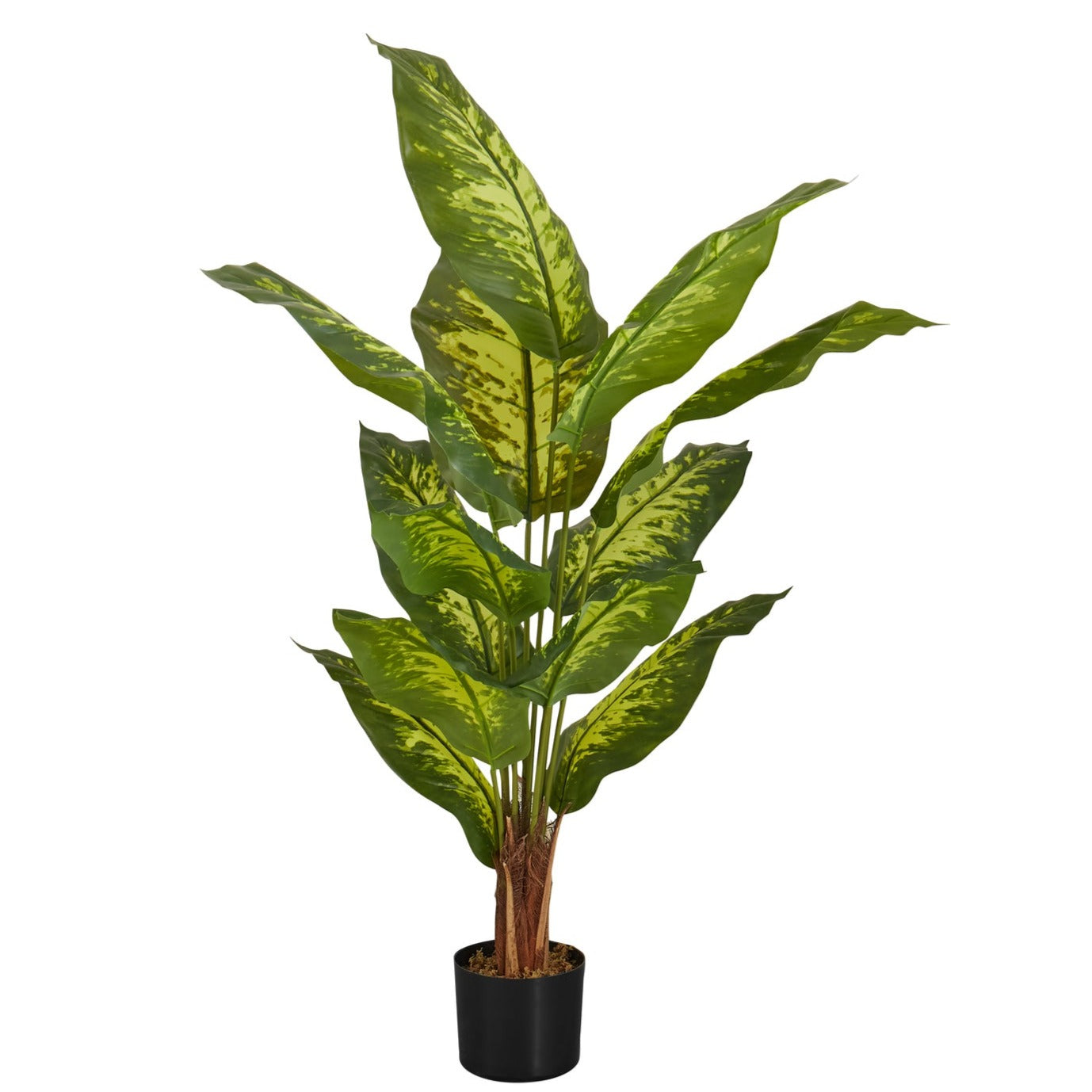 ARTIFICIAL PLANT - 47"H / INDOOR EVERGREEN IN A 5" POT